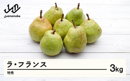 【先行予約】ラ・フランス 洋梨 ラフランス 約3kg 特秀品 贈答 令和8年産 2026年産 果物 mm-latsx3