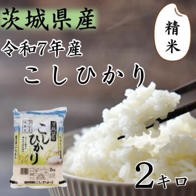 ふるさと納税 つくばみらい市 令和7年産 茨城県産 お米 こしひかり 2kg　(2kg×1袋)  精米