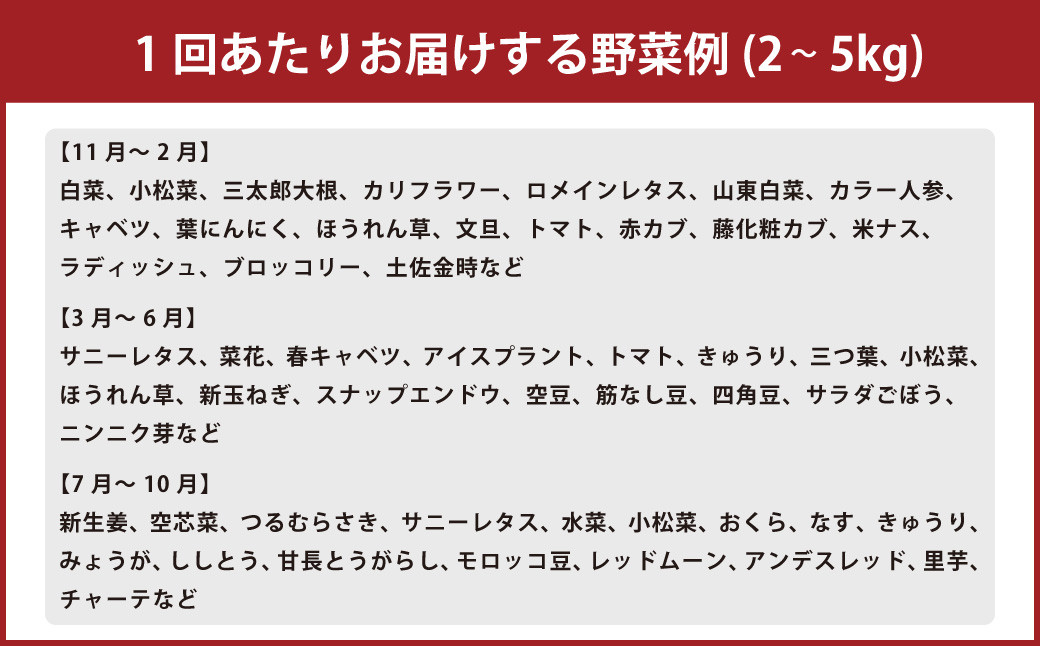 【定期便12回】旬の朝採れ土佐野菜詰め合わせ（10～13品目）