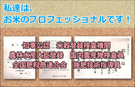 【5kg】茨城県産 コシヒカリ　1等精米5kg ／ 令和7年 新米 米 お米 こめ コメ 精米 白米 ご飯 国産米 5kg 5キロ コシヒカリ こしひかり 甘み 粘り 香り ツヤ おいしい お取り寄せ