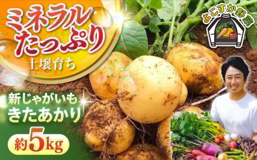 【先行予約】【数量限定】新じゃが　きたあかり　約5kg（5月～6月） 野菜  やさい 【鈴也ファーム】 [AKCE021]