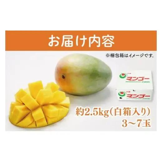 【訳あり】菜々色畑のキーツマンゴー 3～7玉(約2.5kg)【白箱】