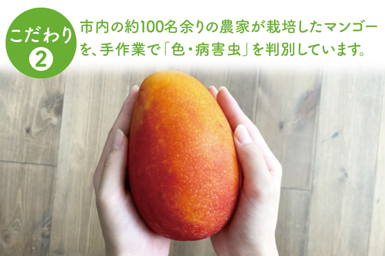 【2025年8月より順次発送】【先行予約】キーツマンゴー 2～3玉(約2kg)(化粧箱)｜沖縄県 豊見城市 マンゴー キーツマンゴー フルーツ 果物 くだもの おきなわマンゴー ギフト 贈り物 化粧箱