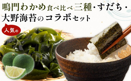 
            鳴門わかめ食べ比べ三種 すだち 大野海苔のコラボセット (カットわかめ 生わかめ 糸わかめ のり すだち） | 鳴門わかめ わかめ 生わかめ 海鮮 海産 詰め合わせ 詰合せ 小分け 保存食 味噌汁 みそ汁 酢の物 サラダ 簡単調理 手軽 人気 おすすめ 海の幸 徳島
          