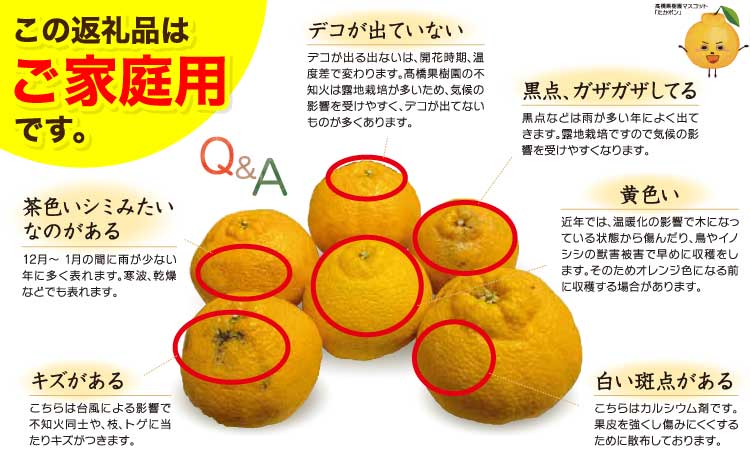 先行予約 不知火 ご家庭用 完熟不知火 約5kg 【髙橋果樹園】【2026年2月上旬から3月下旬発送予定】ご家庭用 不揃い キズあり SDGｓ B級品 しらぬい みかん ミカン 高橋果樹園 柑橘 かん