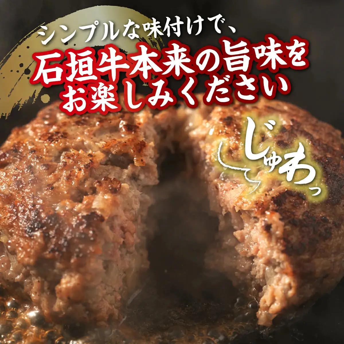 石垣牛 ハンバーグ セット (100g×10個)＜2027年5月発送＞