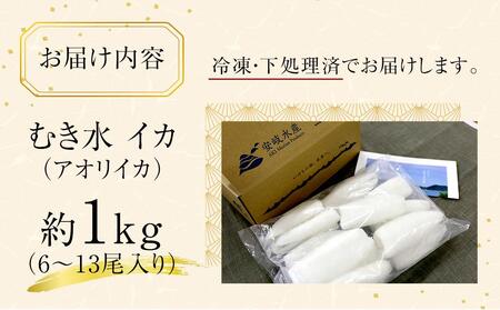 イカ いか 刺身 約 1kg 冷凍 アオリイカ 水イカ 約 1kg 甘い イカの王様 イカ 香川 イカ さぬき市 イカ 天ぷら イカ 炒めもの イカ フライ イカ 