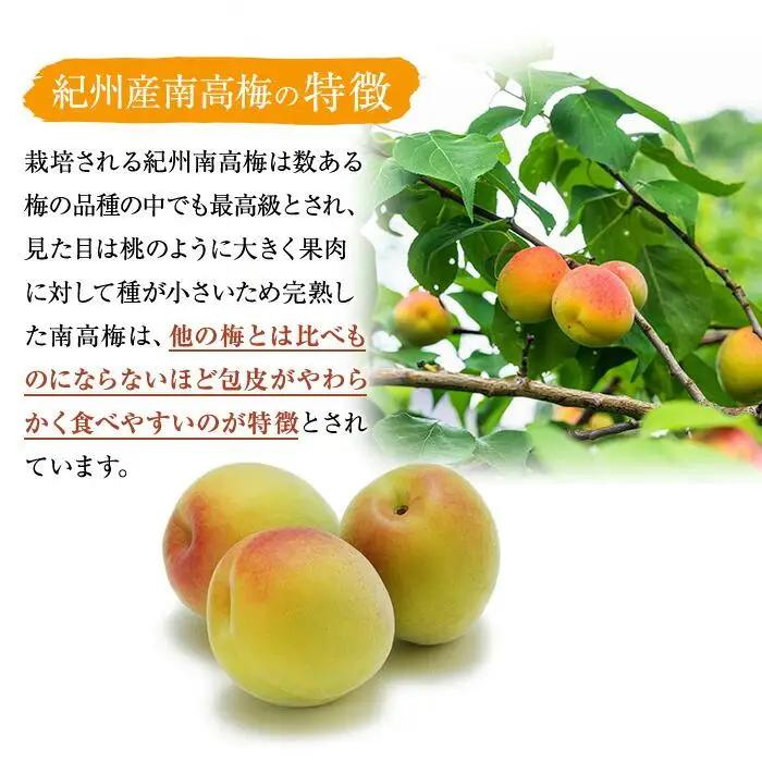 梅干し つぶれ はちみつ梅干し 500g