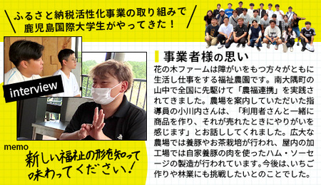 どど～んと！花の木農場 鹿児島県産 豚軟骨 約4kg（500g×8パック）HK-25｜ 豚肉 とんこつ 精肉 冷凍 国産 お肉 だし 煮物 角煮風 コラーゲン スープ 和食 中華 農福連携 鹿児島県 