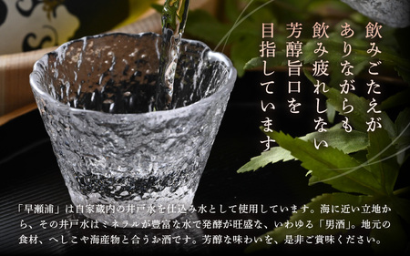 早瀬浦 大吟醸 山田錦 720ml × 1本 【入手困難 日本酒 就職祝い 転職祝い ハレの日 ギフト プレゼント お祝い お返し お礼 お中元 お歳暮 父の日 敬老の日 】[m06-b008]