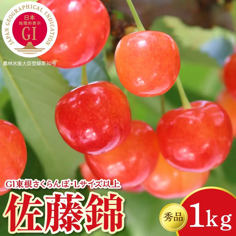 2027年産 GI東根 さくらんぼ 佐藤錦 1kg さくらんぼ