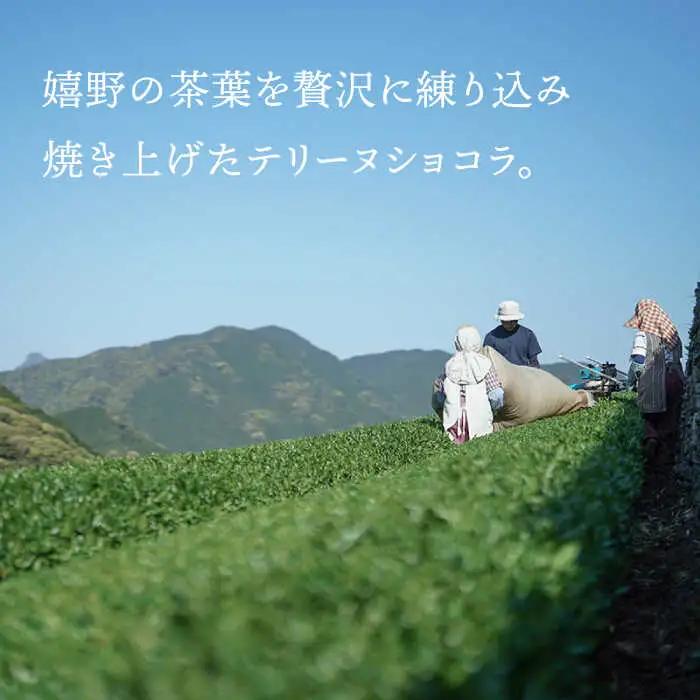 抹茶スイーツ テリーヌショコラ 10本セット NBM002 スイーツ