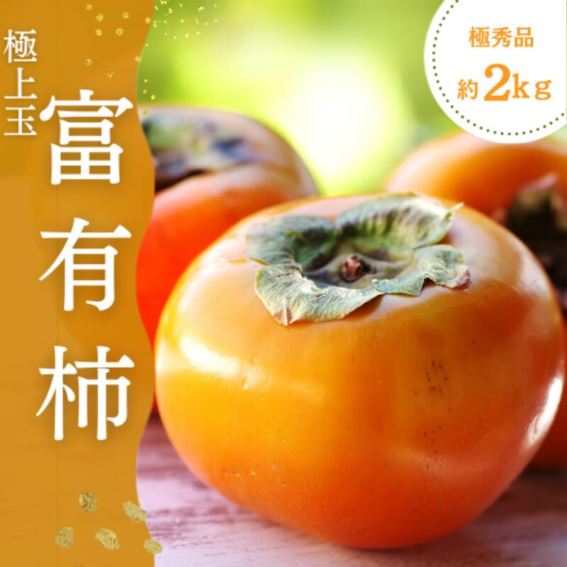 【ふるさと納税】【先行予約】富有柿 2kg～2.5kg 6個入 至高の逸品 約1000個に1個！ 2025年10月下旬～2025年11月下旬頃に順次発送予定（お届け日指定不可）/ 和歌山 柿 かき フルーツ 果物 くだもの 刀根 種無し【kgr013】