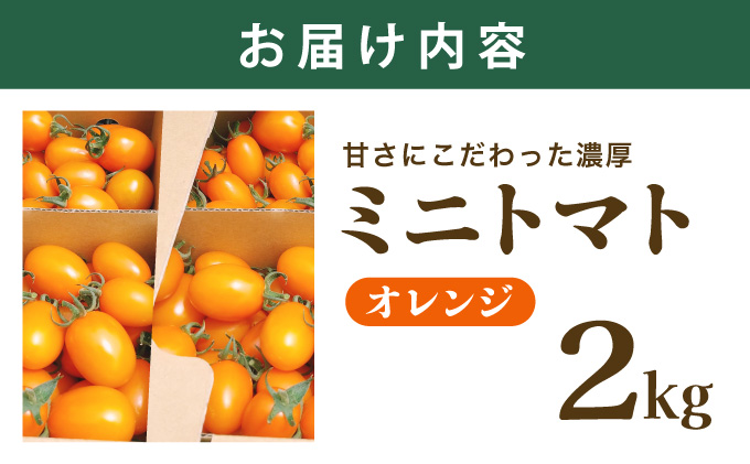 【先行販売】【ファーム雫】甘さにこだわった濃厚オレンジミニトマト ２kg【a127-004】