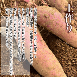 先行受付 干し芋 600g 200g×3袋 紅はるか 長泉町 干し芋