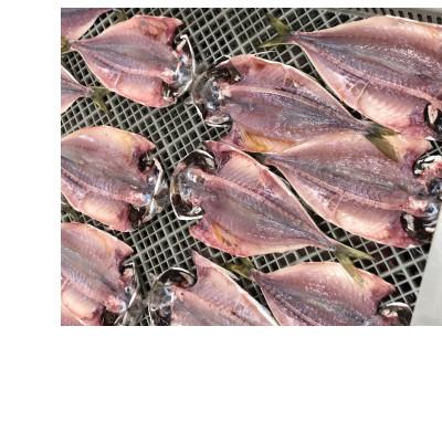 ふるさと納税 長崎市 長崎干物あじ開き(約1.5kg) |  | 01