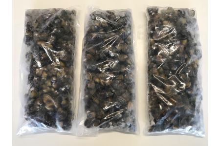 【琵琶湖に感謝！滋味香る！】 琵琶湖産 天然 瀬田 シジミ 3kg【D018W】 シジミ しじみ 琵琶湖 びわこ