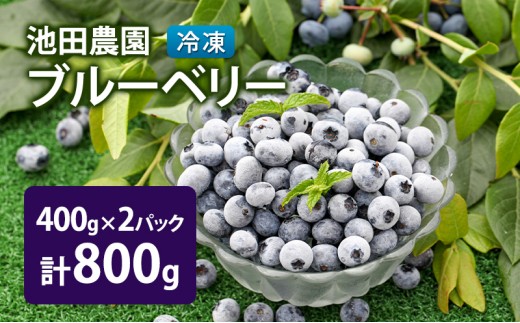 
                  冷凍 ブルーベリー 800g (400g×2パック) 北海道産 フルーツ 果物 旬のフルーツ 旬の果物 くだもの 北海道 芦別市 [№5342-0796]
                