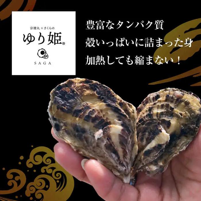【2027年1月以降発送】竹崎産 ブランド生牡蠣「ゆり姫」5kg（ナイフ付き） / 牡蠣 / 佐賀県 / 宗徳丸 [41ATAF004]