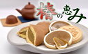 【ふるさと納税】【1-315】椿の恵み