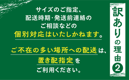 訳あり 未乾燥 薪 ナラ薪 広葉樹薪 ミックス薪 訳あり薪 30～40cm 約100kg 薪ストーブ[Q2029x]