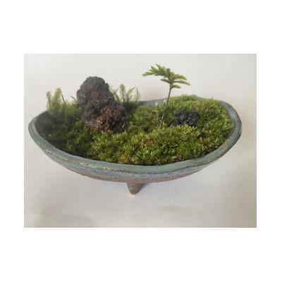 ふるさと納税 南丹市 景石苔盆栽「高島屋選定品」027N486