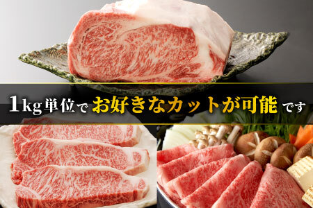 お好きなカット可能!  飛騨牛 サーロインブロック 5kg