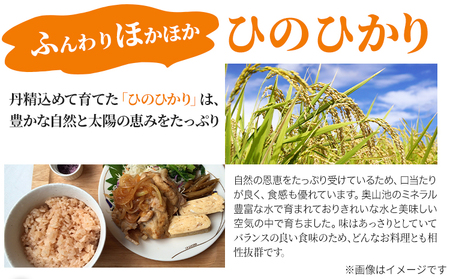 【令和6年産 予約受付】玄米 岡山県産 ひのひかり 笠岡産 30kg(10kg×3回)《10月下旬-9月下旬頃出荷》農事組合法人奥山営農組合 太陽の恵み