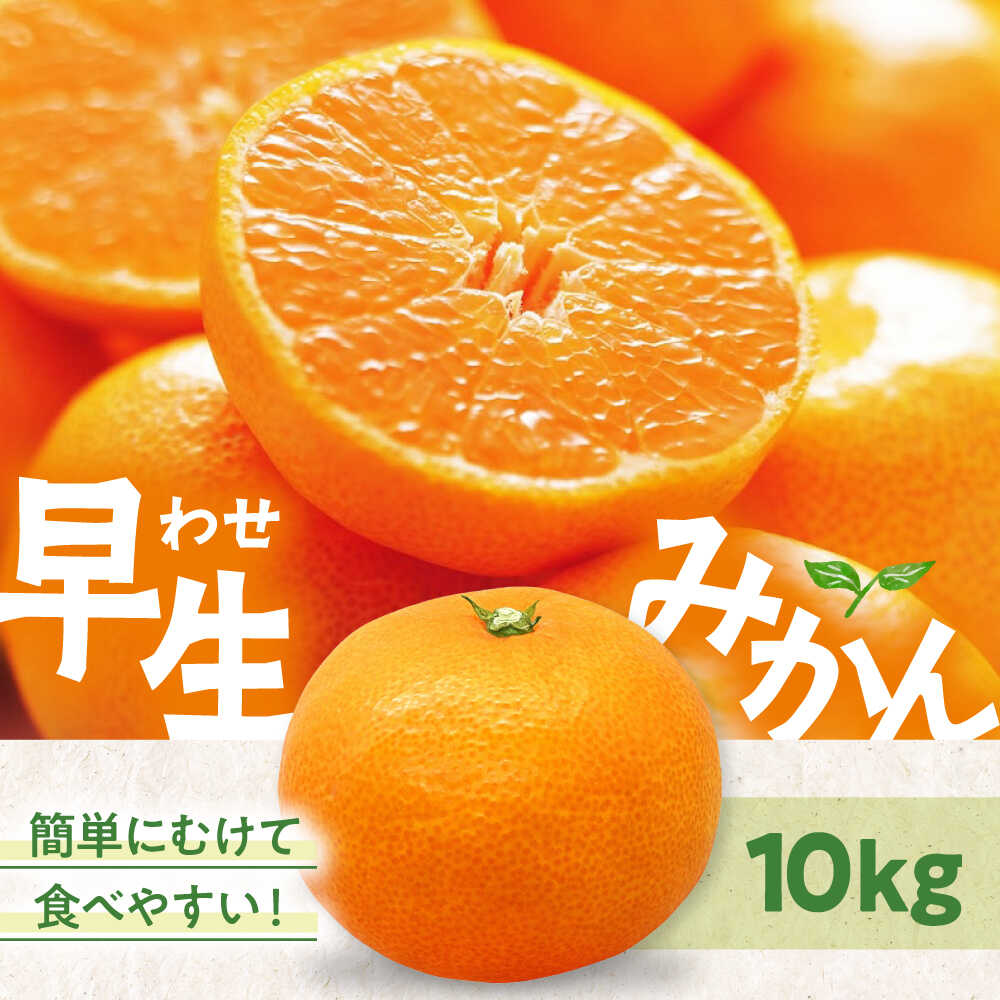 【ふるさと納税】【先行予約】【11月中旬から順次発送】温州みかん（早生） 10kg （S～Lサイズ混合） 大洲市/永沼農園[AGAW017] 先行予約 みかん ミカン 蜜柑 温州ミカン 温州みかん 果物 くだもの フルーツ 愛媛県産 大洲市産 産地直送 おすすめ 人気