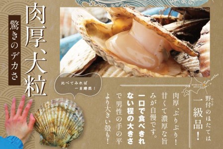 【禁輸に負けない！】北海道 野付産 漁協直送 冷凍ホタテ 貝柱 特大 ホタテ 1kg（ ほたて 帆立 ホタテ 貝柱 北海道 野付 別海町 人気 ふるさと納税 ）