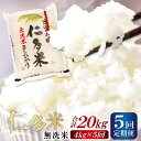 【ふるさと納税】 【無洗米】 仁多米 こしひかり 定期便 4kg 5回 合計20kg 仁多米 コシヒカリ 小分け 便利 お米 米 白米 精米 ブランド米