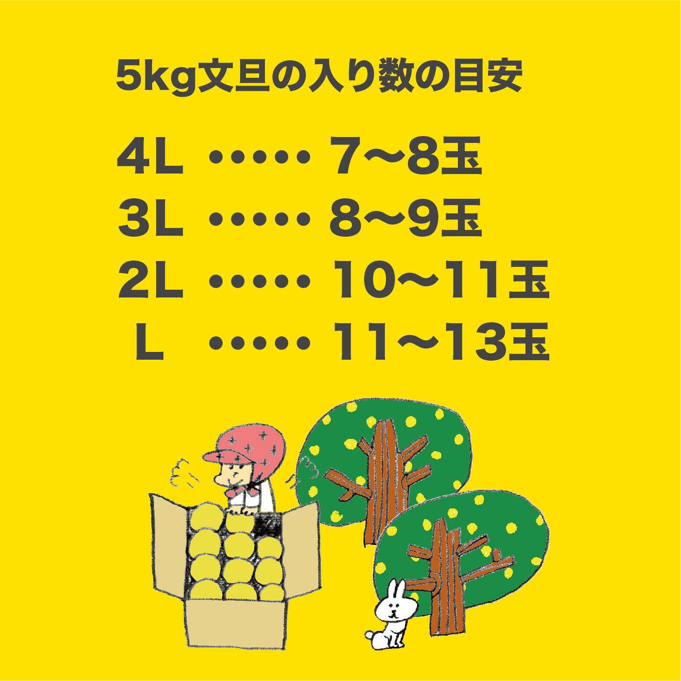 【2026年発送】岡林農園の(家庭用)土佐文旦(約5kg/8～12玉)  栽培期間中 農薬不使用