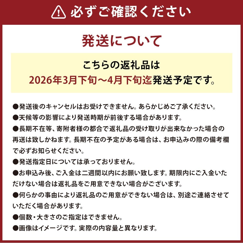 玉ねぎ麹＆1年に1度だけ!甘くて柔らかい!早採りサラダ玉ねぎ 4kg 優品 サイズ混合