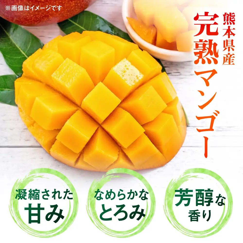 【先行予約】秀品 完熟マンゴー約1kg（2～3玉）【宮本マンゴー農園】[AYDU003]