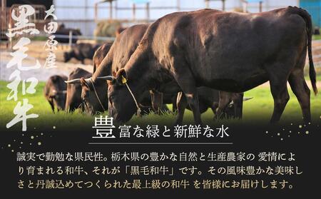希少部位　大田原産黒毛和牛ヒレ　約150g×3枚