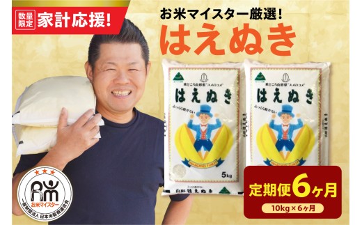 【6ヶ月定期便】 令和7年産 はえぬき 10kg ( 5kg × 2袋 ) × 6回 計60kg 2025年産 精米 米 白米 ブランド米 お米マイスター 厳選 送料無料 山形県 米沢市