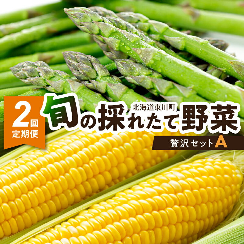 【ふるさと納税】【2回定期便】旬の採れたて野菜「贅沢セットA」