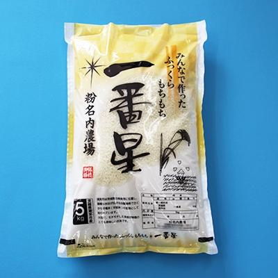 ふるさと納税 潮来市 新米【令和7年産】潮来産一番星精米10kg(5kg×2袋)
