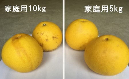 龍馬がゆく園芸の土佐文旦5kg家庭用