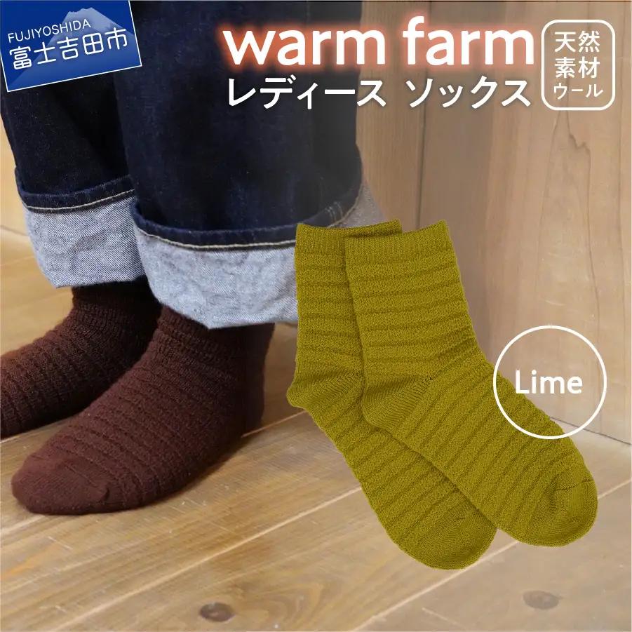光吸収発熱ウール「ウォームファーム　ソックス」ライム アウトドア 日用品 ファッション 雑貨 バナウォーム 天然繊維