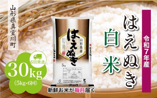 ＜令和7年産米＞ はえぬき 【白米】 定期便 30kg （5kg×1ヶ月間隔で6回お届け）＜配送時期指定可＞　山形県真室川町