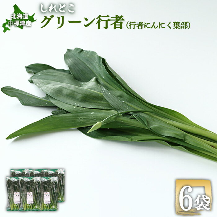 【ふるさと納税】行者にんにく グリーン行者 葉部 6袋 オンライン 申請 ふるさと納税 北海道 中標津 行者ニンニク 幻の山菜 山菜 山の幸 野菜 疲労回復 健康効果 長寿 体力増強 ダイエット効果 焼肉 卵とじ トッピング おひたし【20011】