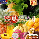 【ふるさと納税】【6回定期便】沖縄県 石垣島の野菜・フルーツBOX ≪野菜4～5種類、フルーツ1~2種類≫（1箱×6回）｜沖縄 石垣島 直送 旬 果物 フルーツ 新鮮 島野菜 野菜セット 詰め合わせ 石垣市 石垣 CK-6