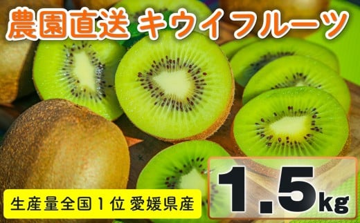 【先行予約】 家庭用 キウイフルーツ ヘイワード 約1.5kg 愛媛県産 【11月下旬から2月中旬頃発送予定】| 先行予約 キウイフルーツ ヘイワード 農園直送 家庭用 フルーツ キウイ 果物 グリーンキウイ 愛媛県 松山市 おすすめ 人気
