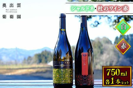 シャルドネ・杜のワイン赤  奥出雲葡萄園 [AICS005] ワイン ワイン ワイン シャルドネ シャルドネ シャルドネ