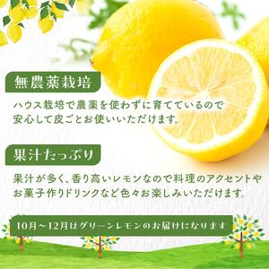 皮まで美味しい無農薬レモン 約3kg【栽培期間中農薬不使用】