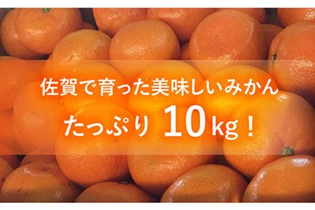【先行予約・26年10月以降順次発送】佐賀県産 中生みかん 10kg 吉野ヶ里町/リエンサーク [FCC009]