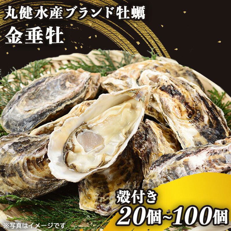 【ふるさと納税】殻付き牡蠣《金垂牡》(個数が選べる：20個から100個) 冷凍 丸健水産 ブランド牡蠣｜牡蠣 かき カキ きんすいか 殻付き 広島 広島牡蠣 [2269-2273]
