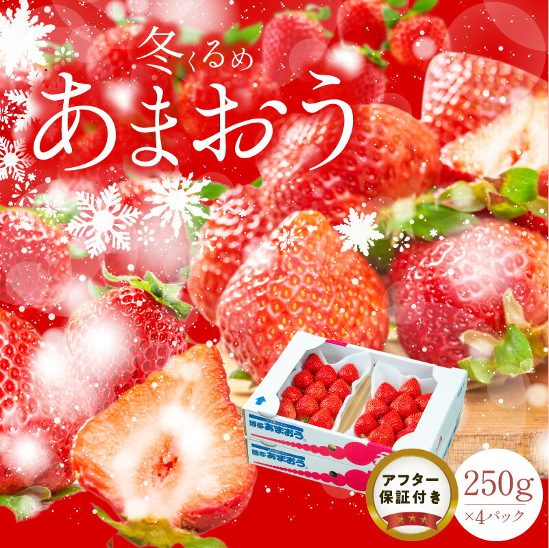 【ふるさと納税】【2026年12月以降お届け】 冬くるめ あまおう 250g × 4パック 合計 1kg 冷蔵 濃厚 甘い 果汁 アフター保証 国産 いちご 果物 アレンジ おやつ お菓子 タルト フルーツ スイーツ スムージー ジャム 南国フルーツ お取り寄せ 福岡県 久留米市 送料無料