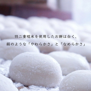 お餅10個入り＜京風料理 新橋＞餅